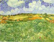 Vincent Van Gogh Plain Near Auvers oil on canvas